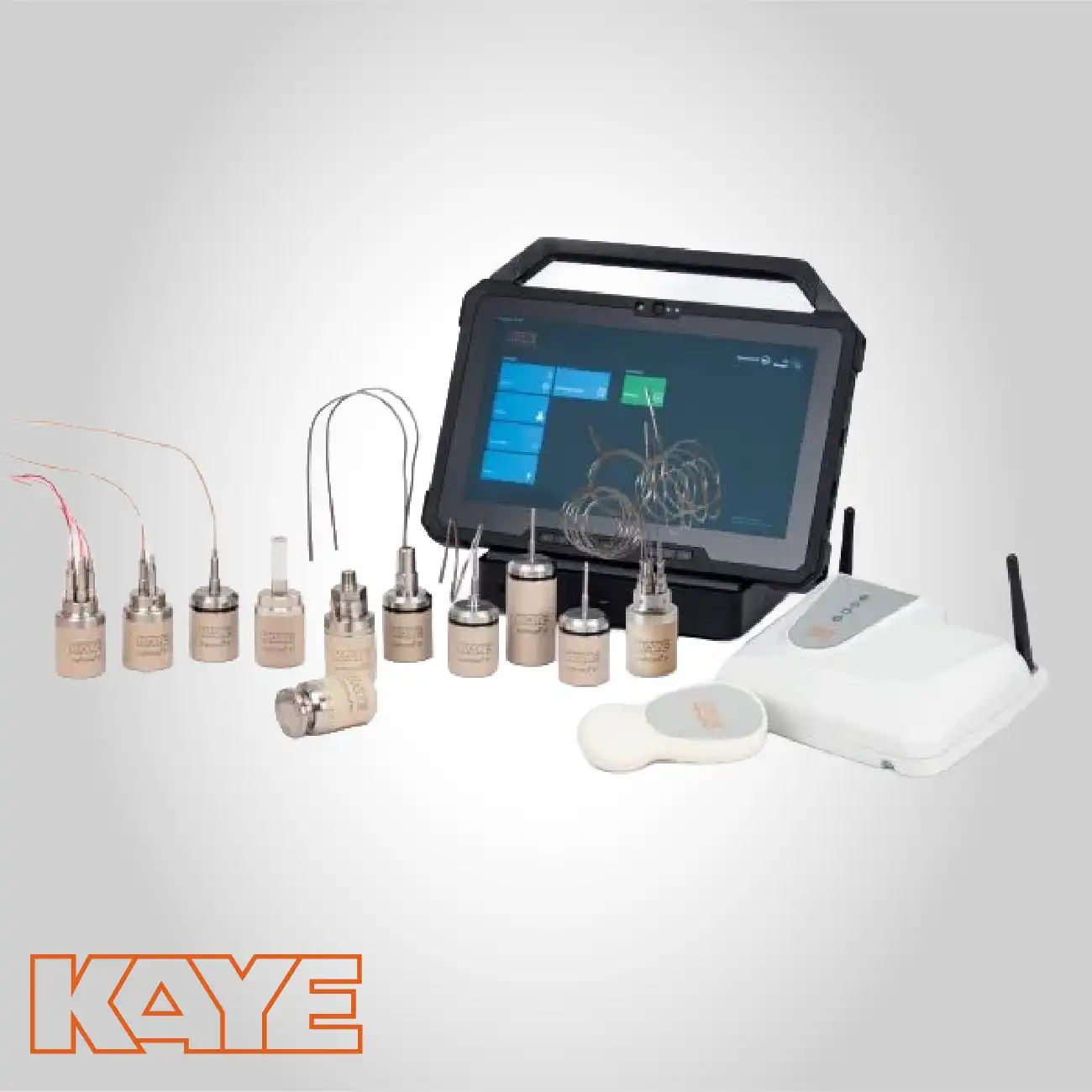 KAYE Wireless (RF) ValProbe RT System.